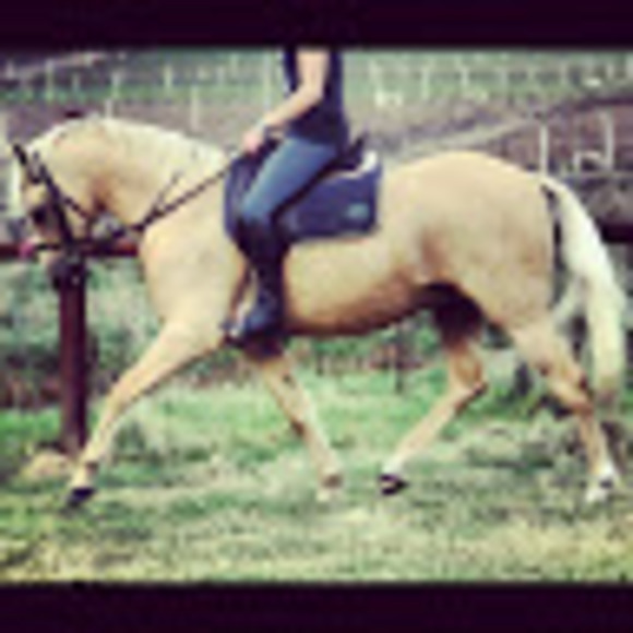 Meet your Posher, Kirsty - Picture 1 of 1